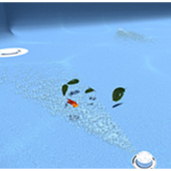 Compass Vantage self-cleaning pool